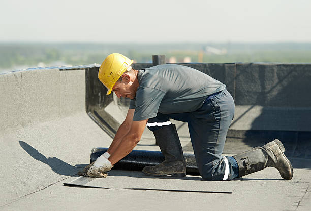 Best Insulation Installation Services in Signal Hill, CA