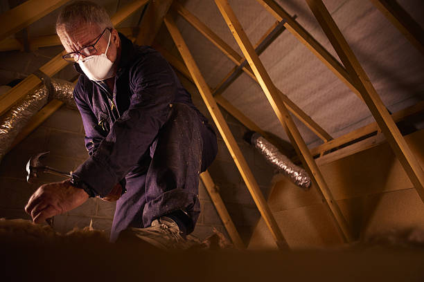 Best Commercial Insulation in Signal Hill, CA