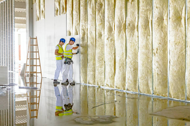 Best Residential Insulation in Signal Hill, CA